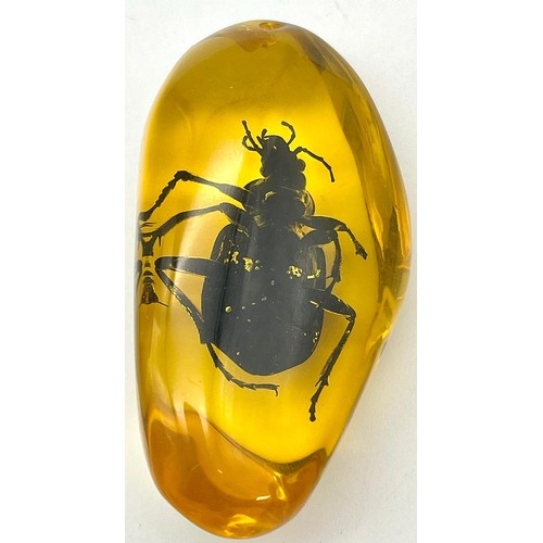 928 - A Large Green/Black Scary Looking Beetle in Amber Coloured Resin. Pendant or paperweight. 7cm