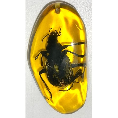 928 - A Large Green/Black Scary Looking Beetle in Amber Coloured Resin. Pendant or paperweight. 7cm