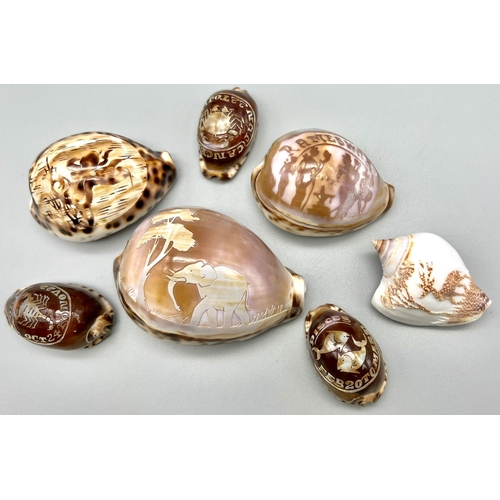 195 - A group of seven cameo shells. Beautifully carved in great detail.