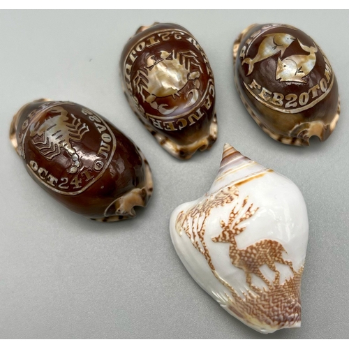 195 - A group of seven cameo shells. Beautifully carved in great detail.