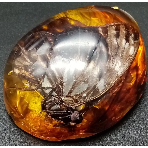 238 - Two large resin amber pendants with a butterfly inclusion. App 6 cm long.