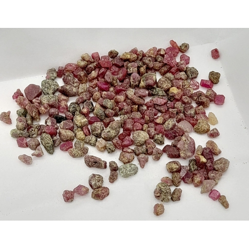 1120 - A 56.15ct Rough Ruby Gemstone Lot. IGLI Certified.