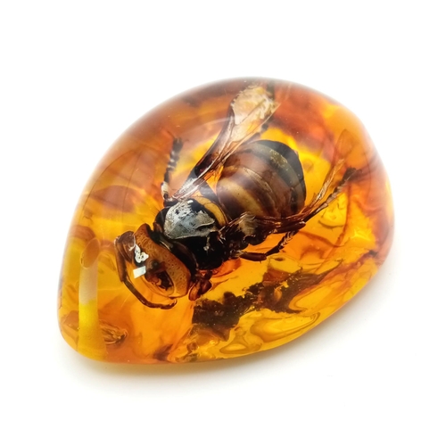 1199 - A Hornet with a Sting Bigger than an Episode of Black Mirror. Amber-coloured resin - pendant or pape... 