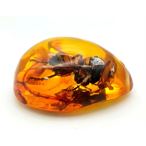 1199 - A Hornet with a Sting Bigger than an Episode of Black Mirror. Amber-coloured resin - pendant or pape... 