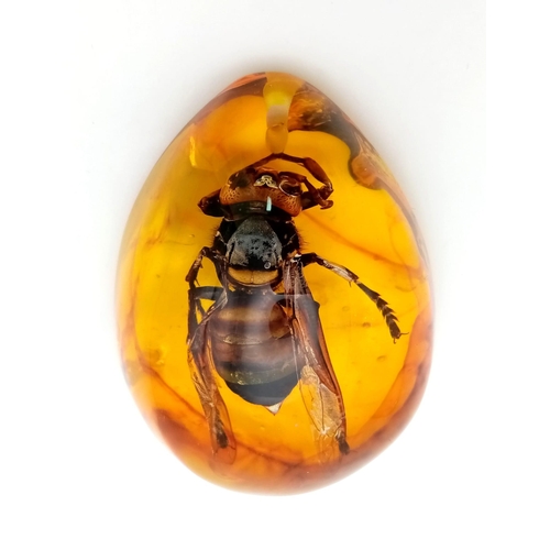 1199 - A Hornet with a Sting Bigger than an Episode of Black Mirror. Amber-coloured resin - pendant or pape... 