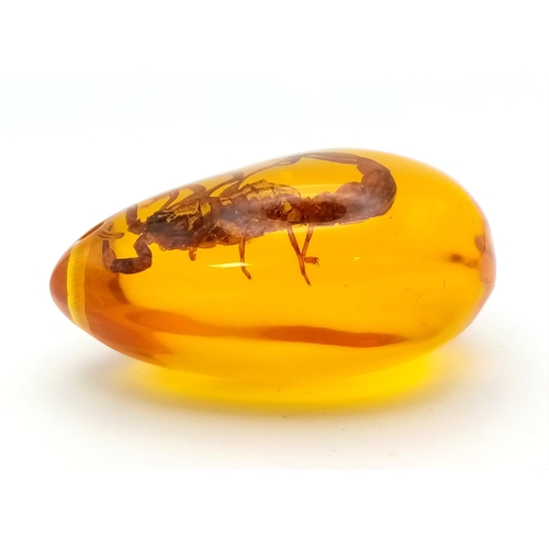 536 - Did You Hear the One About the Scorpion and the Amber-Coloured Resin? Pendant or paperweight. 6cm