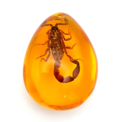 536 - Did You Hear the One About the Scorpion and the Amber-Coloured Resin? Pendant or paperweight. 6cm