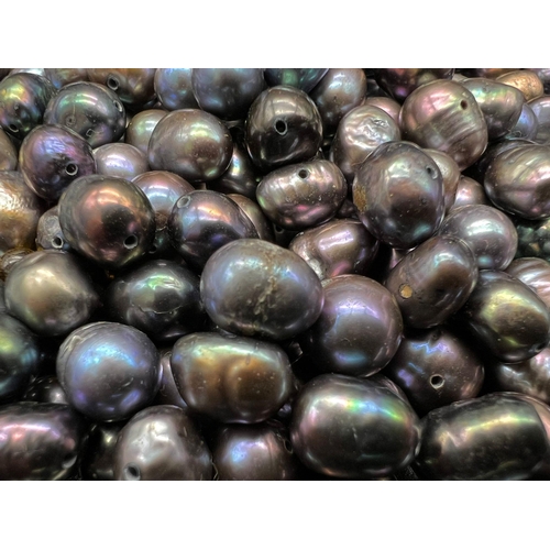 542 - An Abundance (110ct) of Cultured Tahitian Pearls. Drilled and ready for stringing!