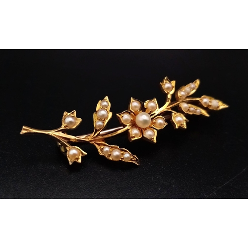 784 - A Victorian Mid-Karat Decorative Leaf and Pearl Brooch. Comes in an antique case. 5cm. 3.72g total w... 