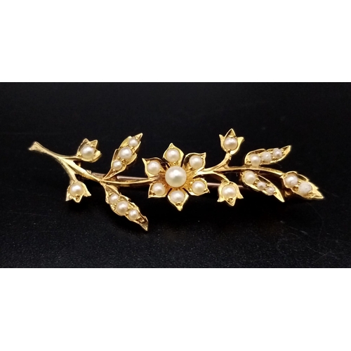 784 - A Victorian Mid-Karat Decorative Leaf and Pearl Brooch. Comes in an antique case. 5cm. 3.72g total w... 