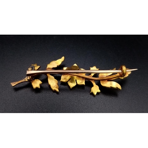 784 - A Victorian Mid-Karat Decorative Leaf and Pearl Brooch. Comes in an antique case. 5cm. 3.72g total w... 