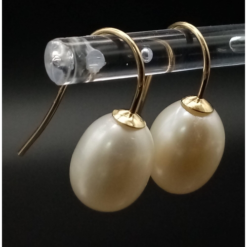 829 - A Pair of 9K Yellow Gold and Pearl Earrings. 12mm pearl. 
3.51g total weight.