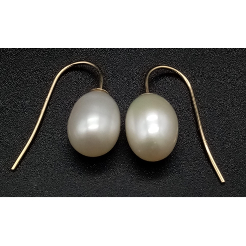 829 - A Pair of 9K Yellow Gold and Pearl Earrings. 12mm pearl. 
3.51g total weight.