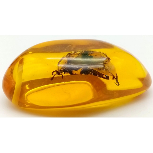 1196 - The Fifth Member of The Beatles Was Not Very Fortunate - Now Residing in Amber Coloured Resin. Penda... 