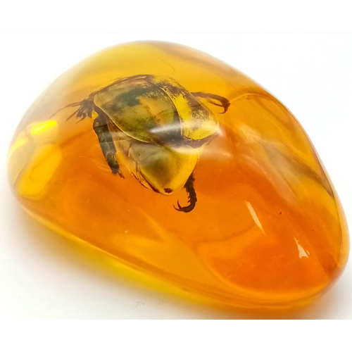 1196 - The Fifth Member of The Beatles Was Not Very Fortunate - Now Residing in Amber Coloured Resin. Penda... 