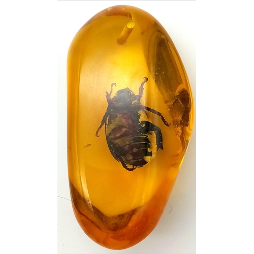 1196 - The Fifth Member of The Beatles Was Not Very Fortunate - Now Residing in Amber Coloured Resin. Penda... 