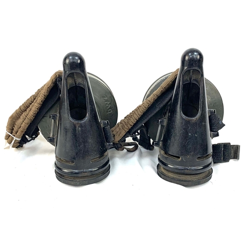 47 - RARE WW2 German Pferdegasmaske 41 (Horse Gas Mask 1941). Complete with filters, gas hood and origina... 