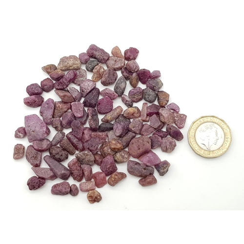 1233 - 364.05 Ct Rough Ruby Lot.