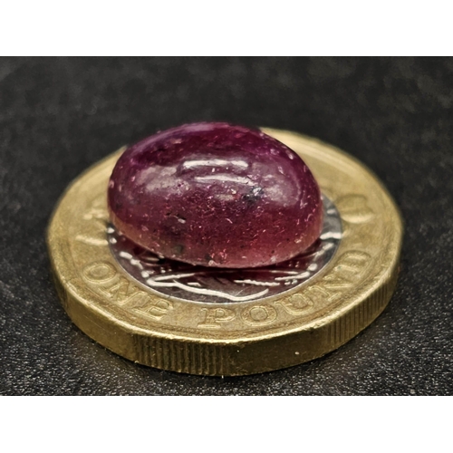 833 - A 12.72 Ct Natural Cabochon Ruby. Color Enhanced. Come with the IGL&I Certificate.