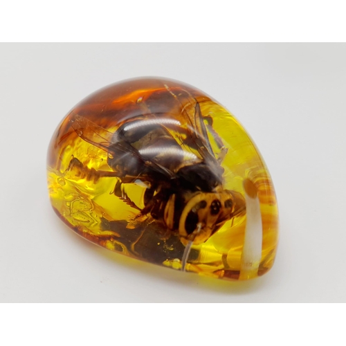 1794 - A Large Depressed Hornet in a Sea of Amber-Coloured Resin. Pendant or paperweight. 6cm