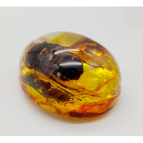 1794 - A Large Depressed Hornet in a Sea of Amber-Coloured Resin. Pendant or paperweight. 6cm