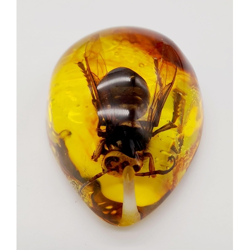 1794 - A Large Depressed Hornet in a Sea of Amber-Coloured Resin. Pendant or paperweight. 6cm