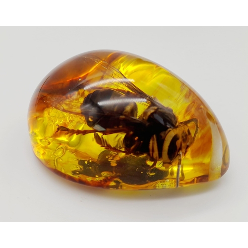 1794 - A Large Depressed Hornet in a Sea of Amber-Coloured Resin. Pendant or paperweight. 6cm