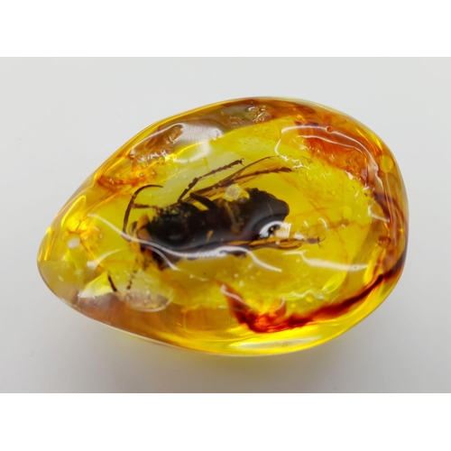 1794 - A Large Depressed Hornet in a Sea of Amber-Coloured Resin. Pendant or paperweight. 6cm