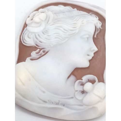 494 - CAMEO STONE. APPROX  5CM X 7CM