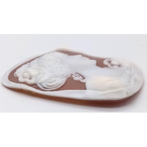 494 - CAMEO STONE. APPROX  5CM X 7CM