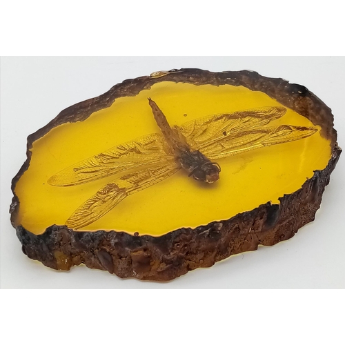 1799 - A Humongous Dragonfly Trapped in a Dimension of Amber Coloured Resin Paperweight. 10cm