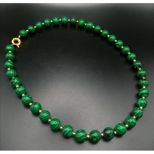 1507 - A Malachite Beaded Necklace with Gilded Spacers. 44cm