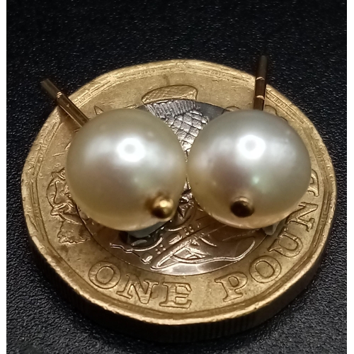 1280 - A yellow gold and pearls stud earring set.