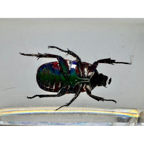 1308 - A perspex paperweight with an iridescent insect inclusion. Dimensions: 7 x 4 x 2.5 cm.