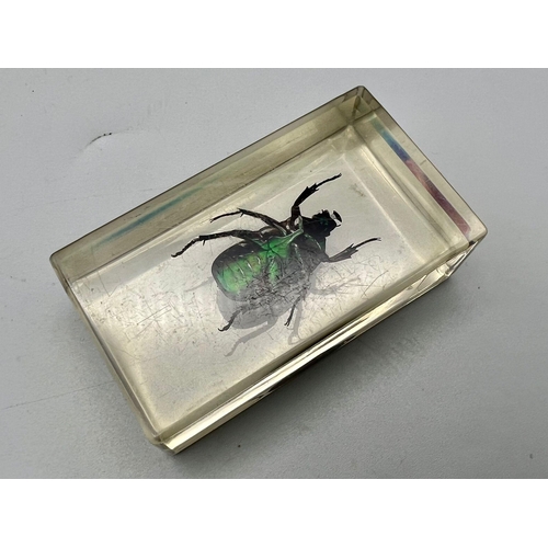 1308 - A perspex paperweight with an iridescent insect inclusion. Dimensions: 7 x 4 x 2.5 cm.