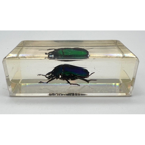 1308 - A perspex paperweight with an iridescent insect inclusion. Dimensions: 7 x 4 x 2.5 cm.