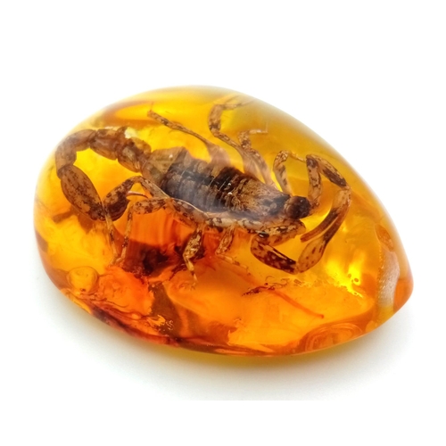 492 - I don't Know How Long The Amber-Coloured Resin Can Contain This Scorpion? Pendant or paperweight. 6c... 