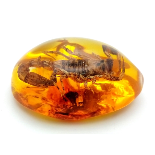 492 - I don't Know How Long The Amber-Coloured Resin Can Contain This Scorpion? Pendant or paperweight. 6c... 