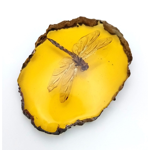 902 - Come in Humongous Dragonfly - You have Permission to Land.... In amber-coloured resin. Paperweight -... 