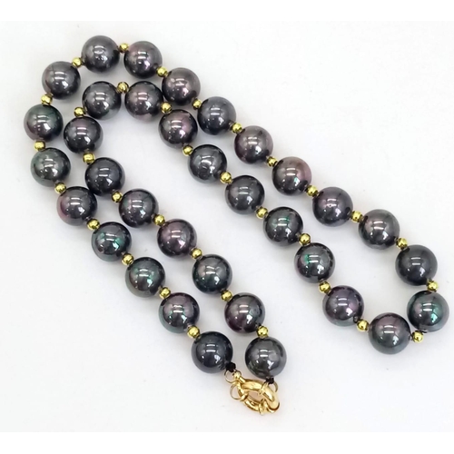 1195 - A Cultured Black Pearl Necklace. Gilded spacers and clasp. 42cm.