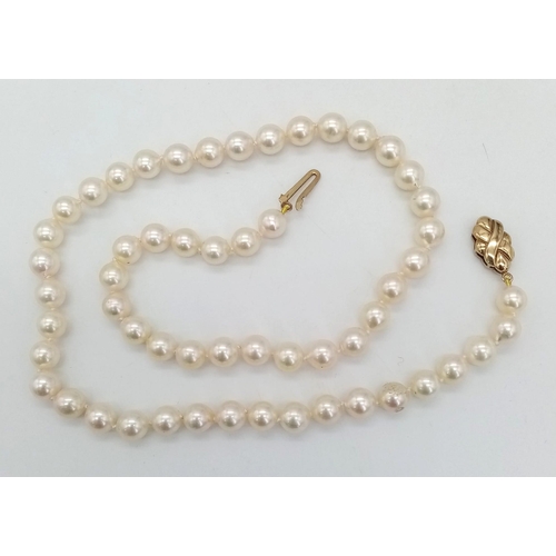 142 - A 9K Yellow Gold Clasp Cultured Golden Pearl Necklace. Pearls - 6/7mm. 42cm.