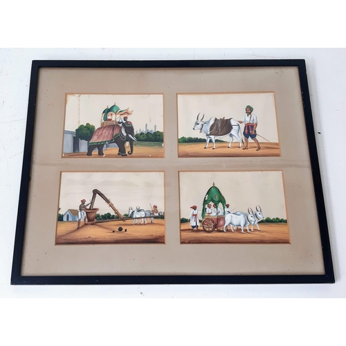 Lot 786       