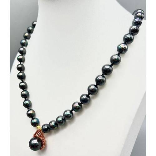 765 - A South Sea Rainbow Black Pearl SHELL Necklace with Hanging Shell Pearl Pendant. 44cm necklace lengt... 