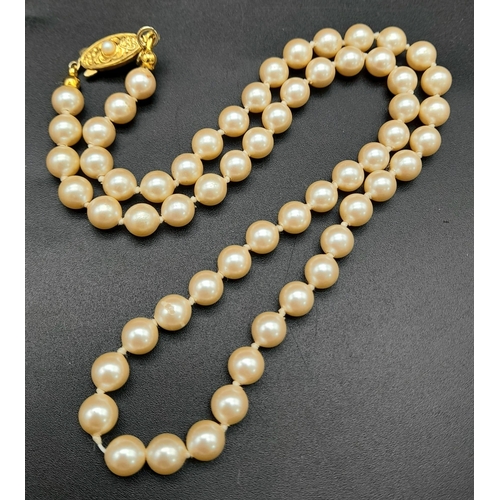Lot 675       