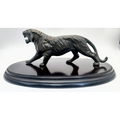 235 - A Fabulous Antique Large Bronze Figure of a Tiger - stands on a mahogany plinth -30cm. Tiger - 25cm ... 