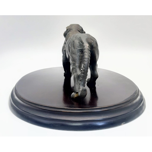 235 - A Fabulous Antique Large Bronze Figure of a Tiger - stands on a mahogany plinth -30cm. Tiger - 25cm ... 