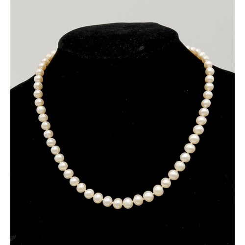 540 - A New Boxed Set Single Strand Natural Pearl Necklace with 9 Carat Yellow Gold Heart Clasp. 41cm Leng... 