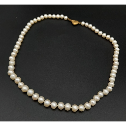 540 - A New Boxed Set Single Strand Natural Pearl Necklace with 9 Carat Yellow Gold Heart Clasp. 41cm Leng... 