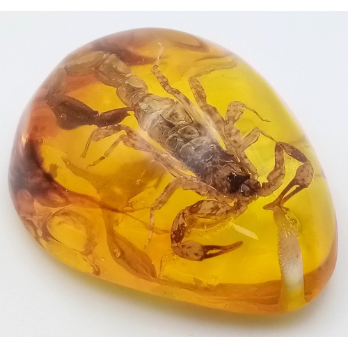 452 - Unfortunately this Scorpion Will Never Feel 'The Winds of Change' - Pendant or Paperweight. 6cm