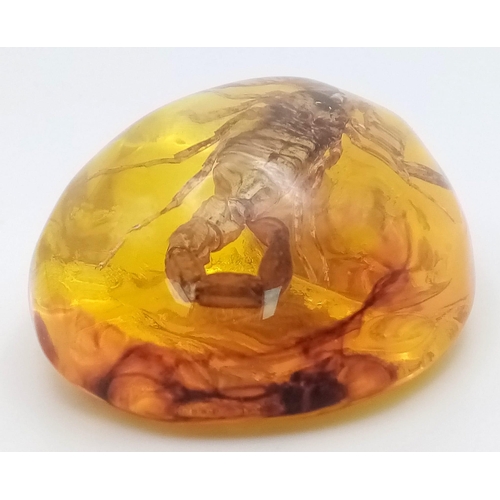 452 - Unfortunately this Scorpion Will Never Feel 'The Winds of Change' - Pendant or Paperweight. 6cm